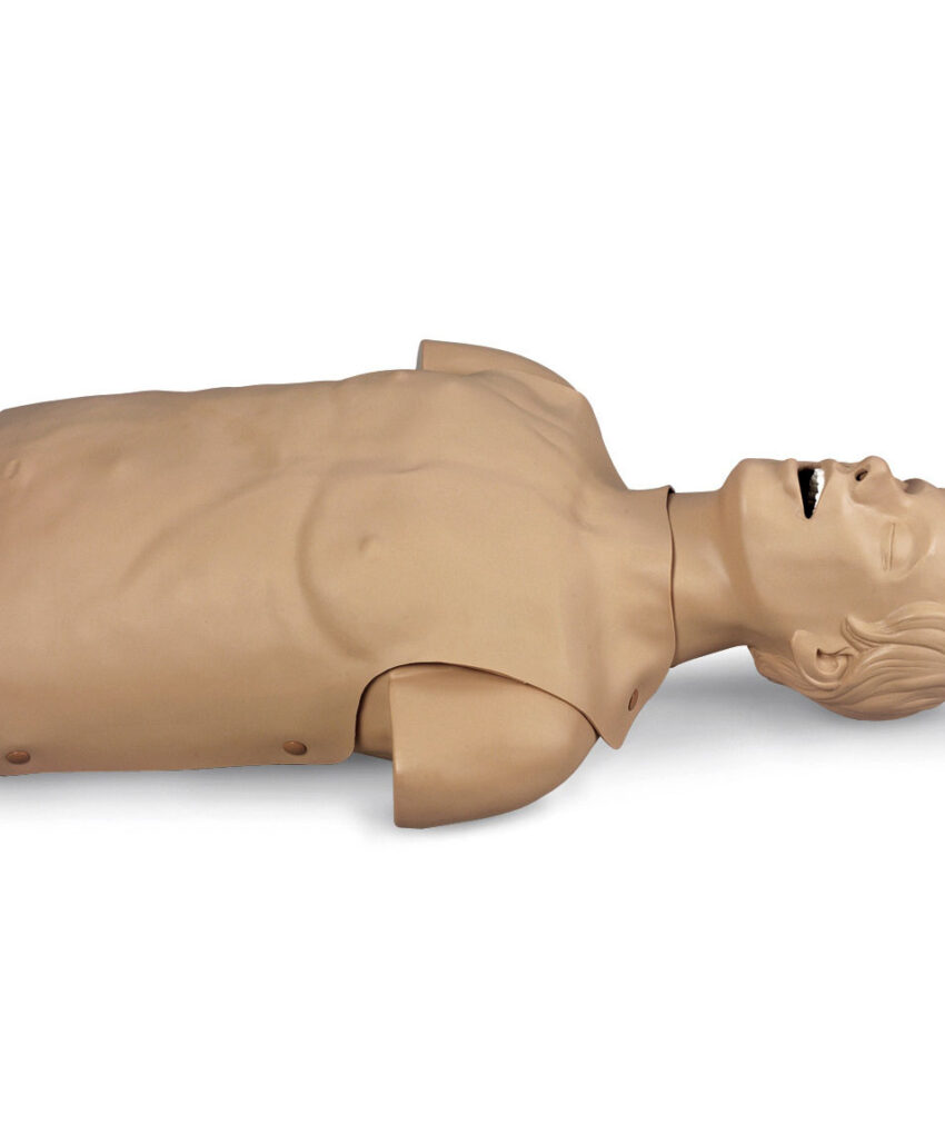 ADULT AIRWAY MANAGEMENT TORSO / 50-141