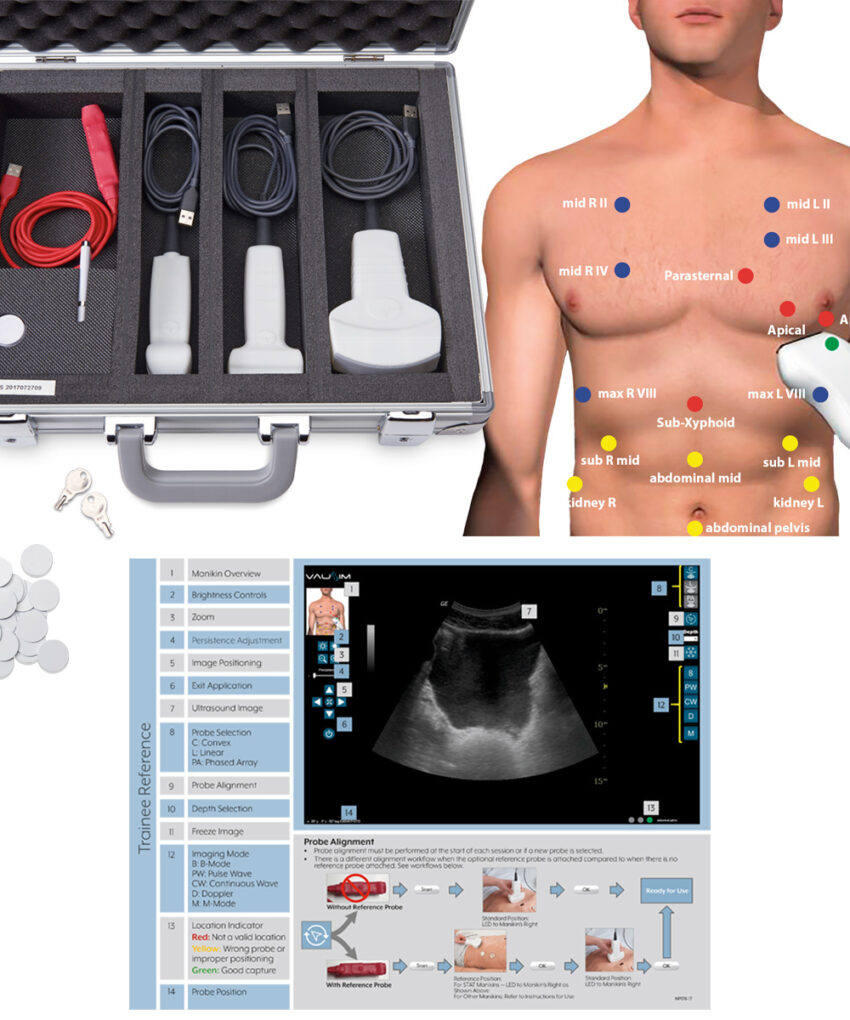 VausSim Ultrasound Simulation - STAT Overlay with VausSim