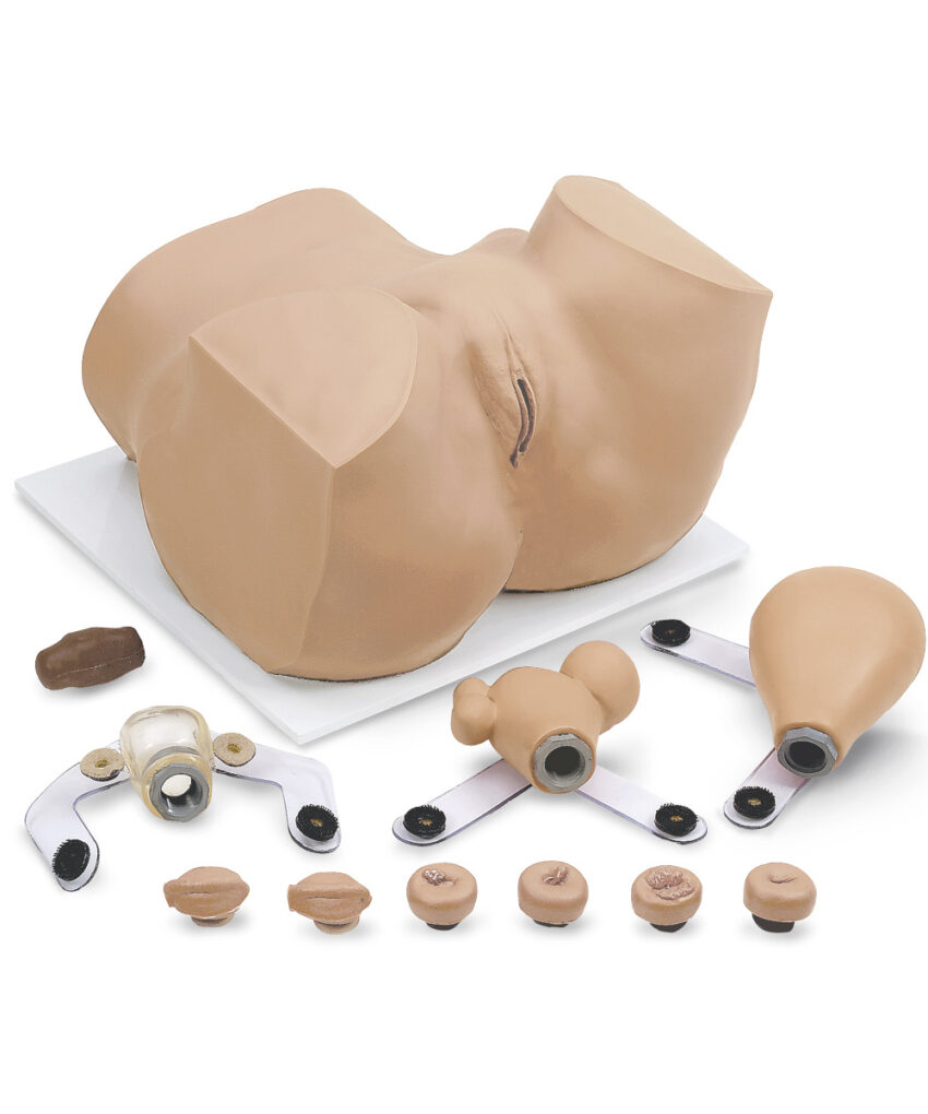 SIMULADOR DE EXAME PELVICO