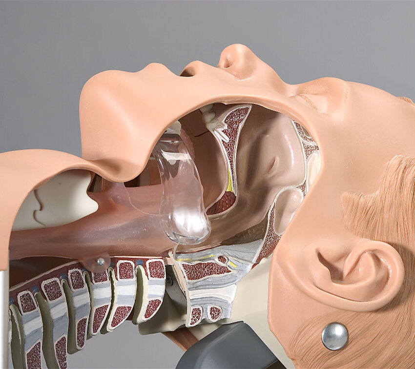 Ambu Intubation Trainer / 50-120