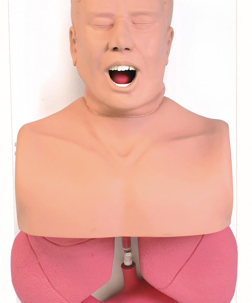 Alternative view of ADULT AIRWAY TRAINER