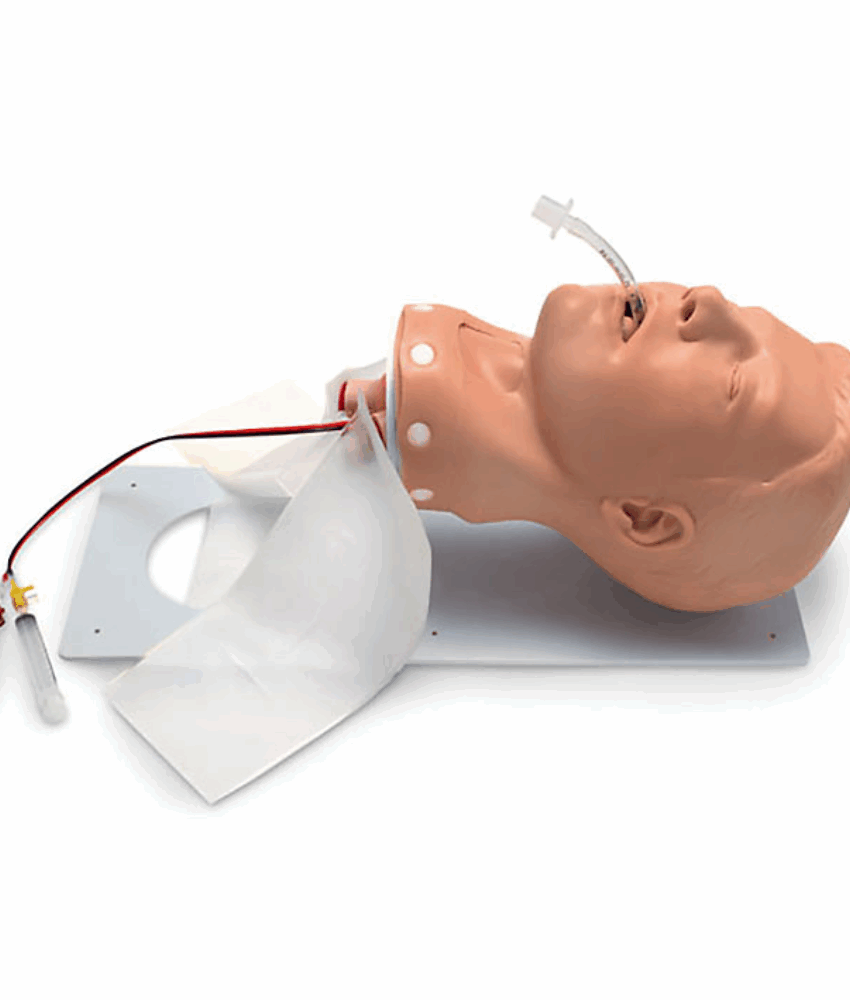 Alternative view of Simulaids Deluxe Adult Airway Trainer