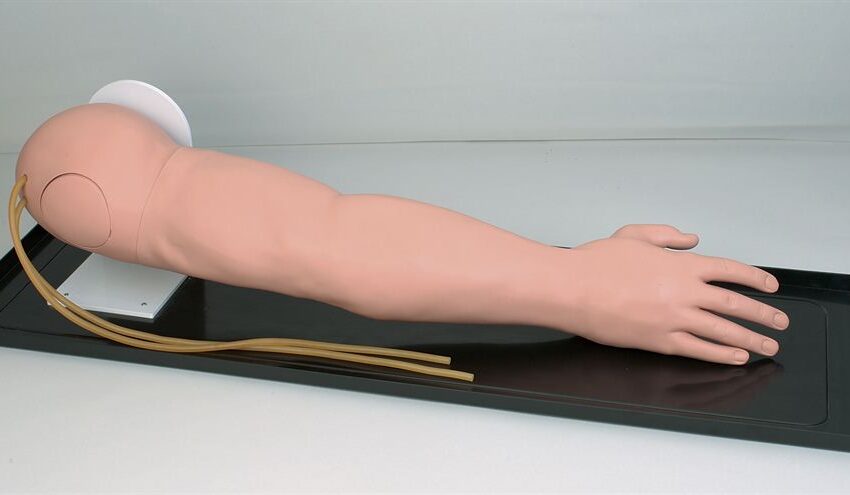 Deluxe IV Training Arm