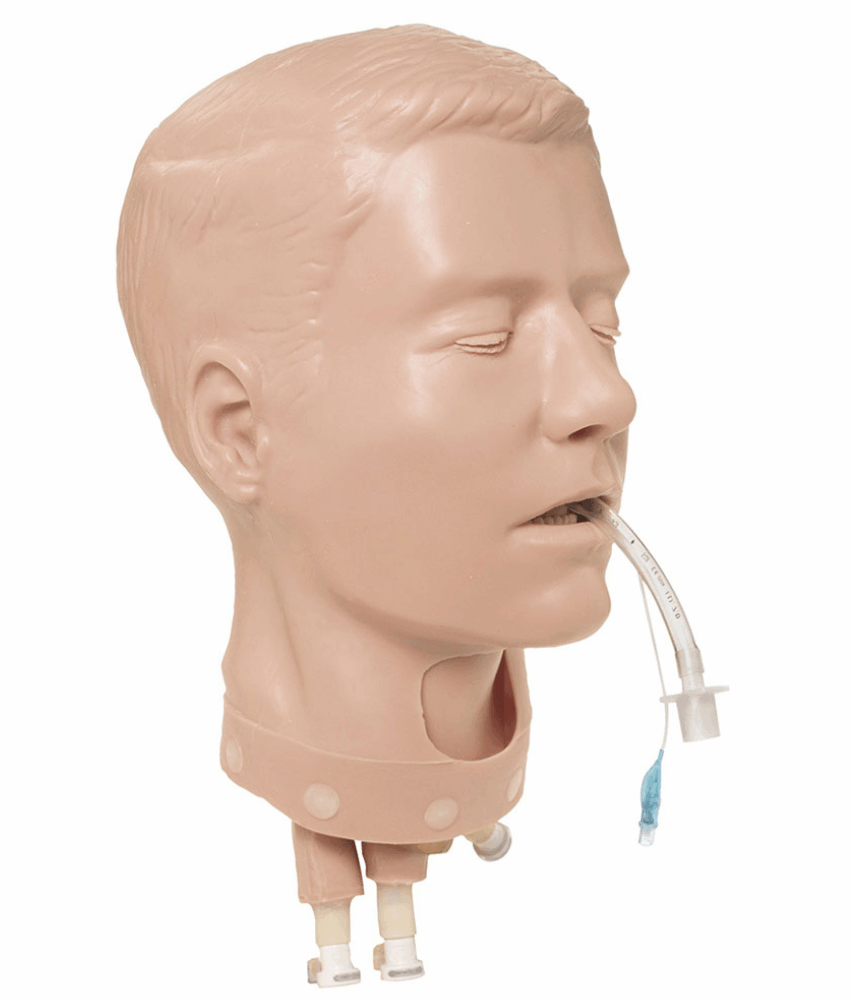 Simulaids Deluxe Adult Airway Trainer
