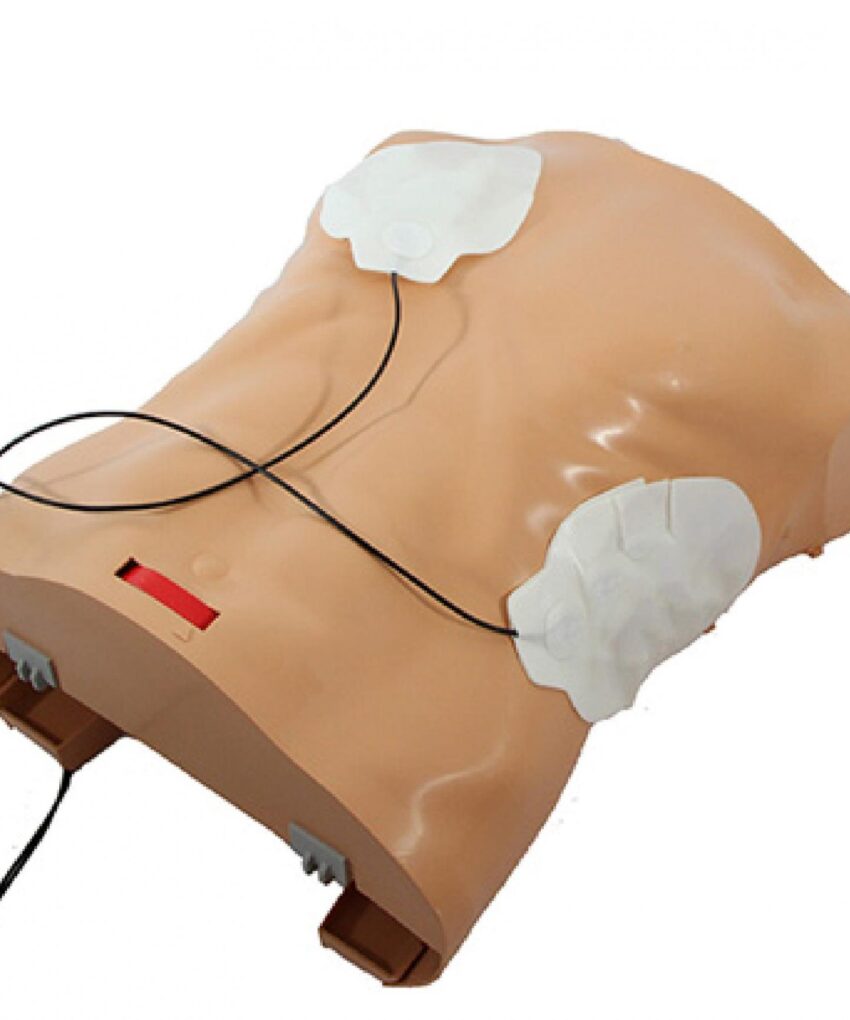 Alternative view of Ambu® Man Compression