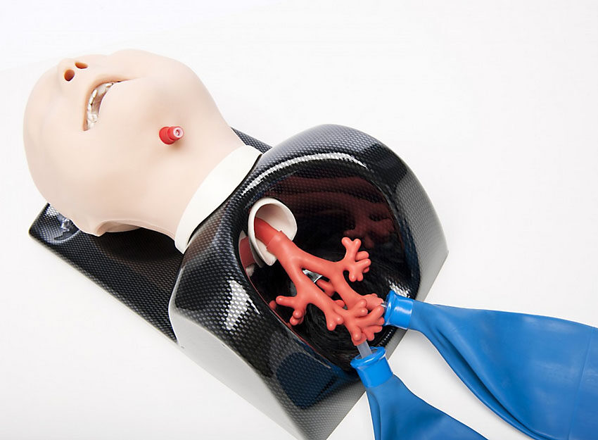 TruCorp® AirSim Child Bronchi