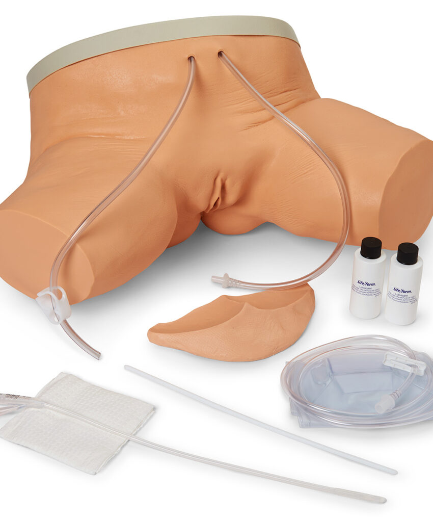 Female Cath Simulator / 50-376