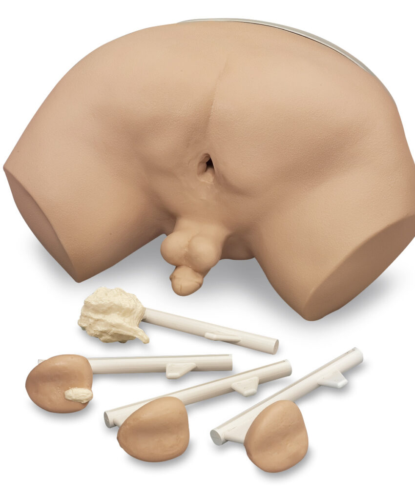 Life/Form Prostate Examination / 50-373