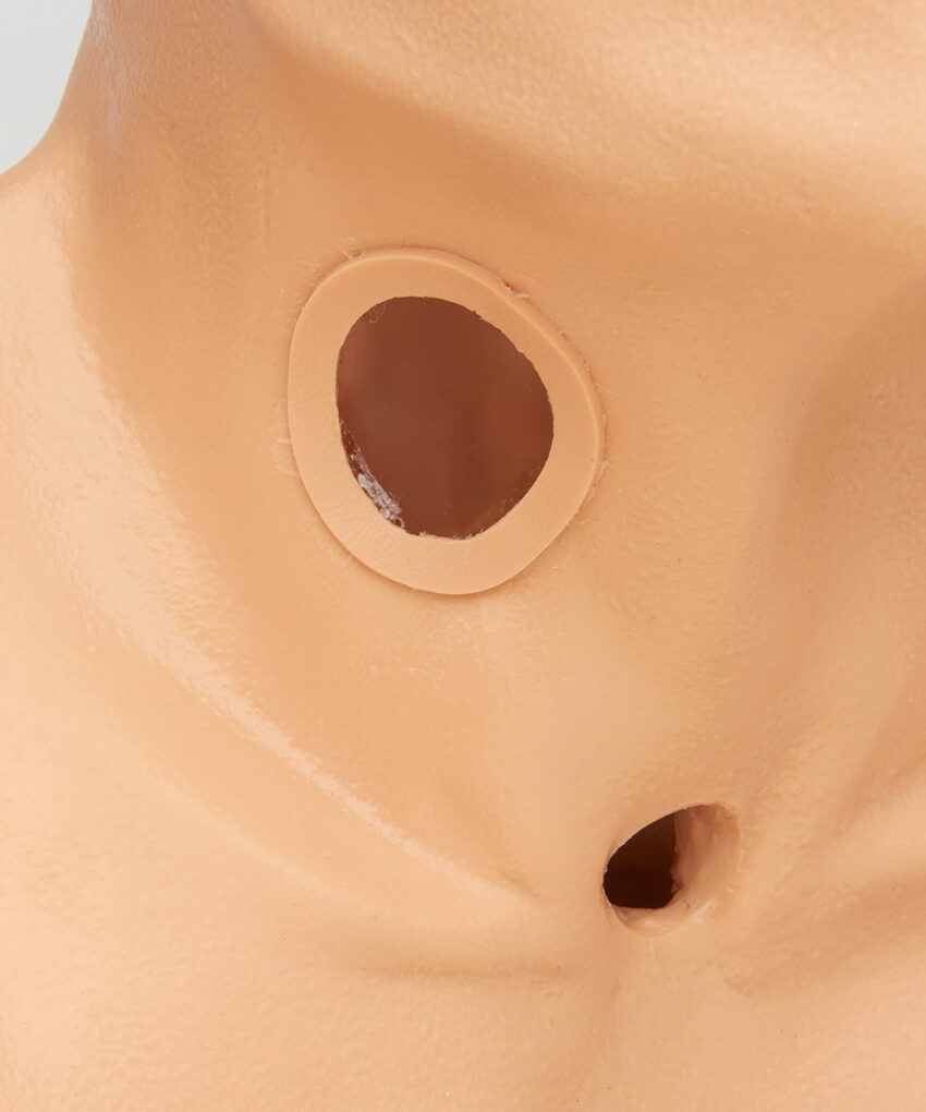 Alternative view of Simulador de Tratamento de Traqueostomia Life/form®