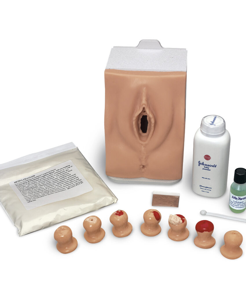 Life/form Cervical Exam and Pap Smear Test Trainer / 50-692