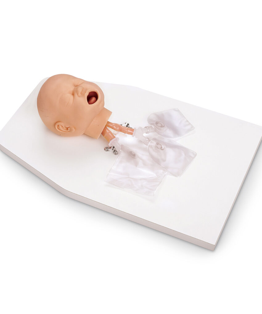 Alternative view of Life/form Infant Airway Management Trainer with Stand / 50-157