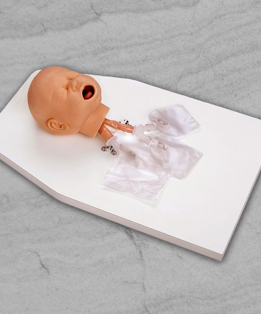 Life/form Infant Airway Management Trainer with Stand / 50-157