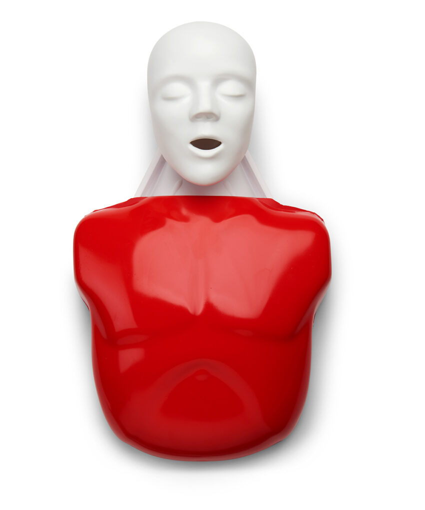 Alternative view of Manequim de RCP Simples Buddy Básico