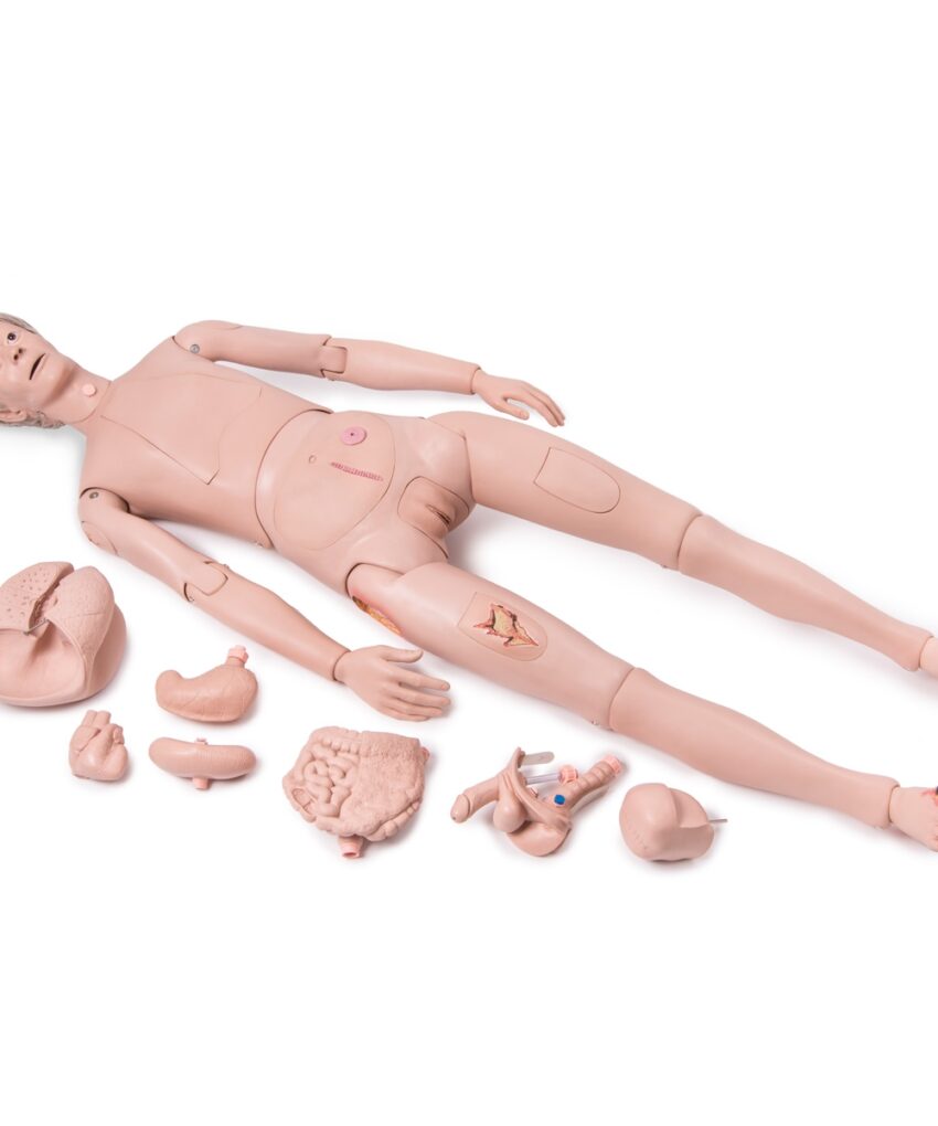 Manequim de treinamento profissional de atendimento ao paciente