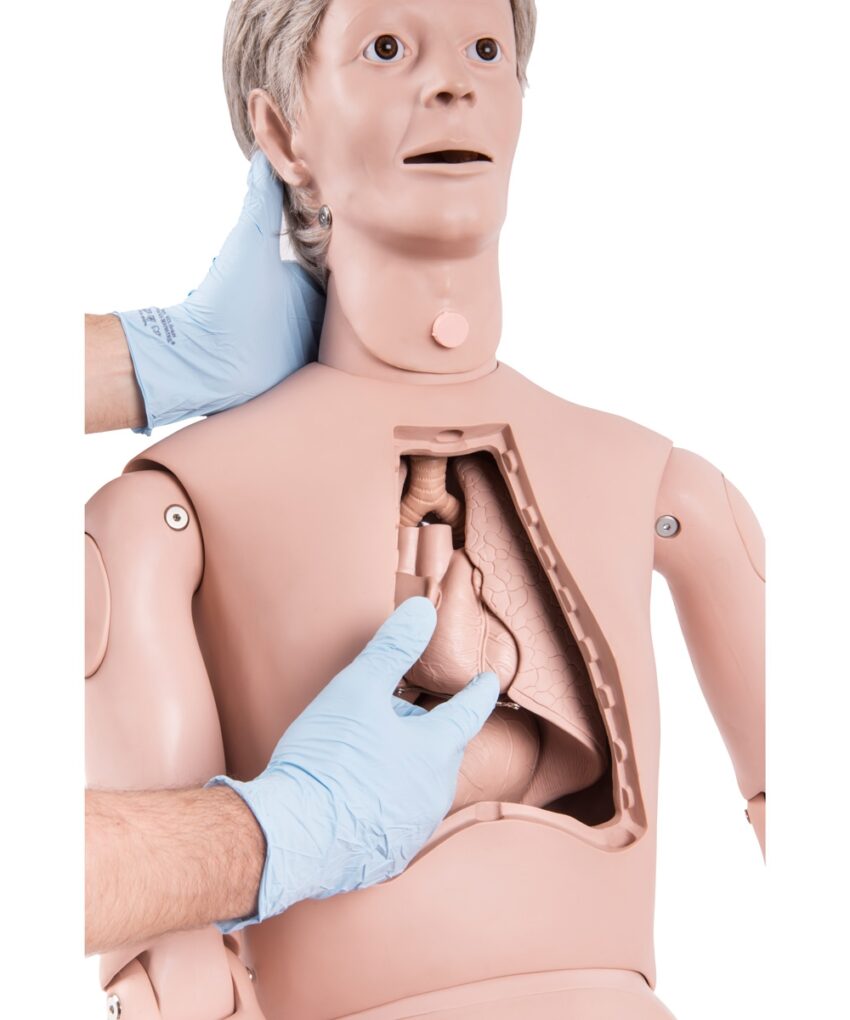 Alternative view of Manequim de treinamento profissional de atendimento ao paciente