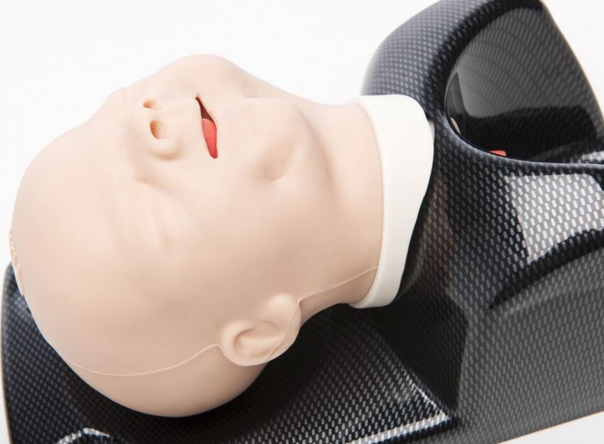 Alternative view of TruCorp® AirSim Pierre Robin