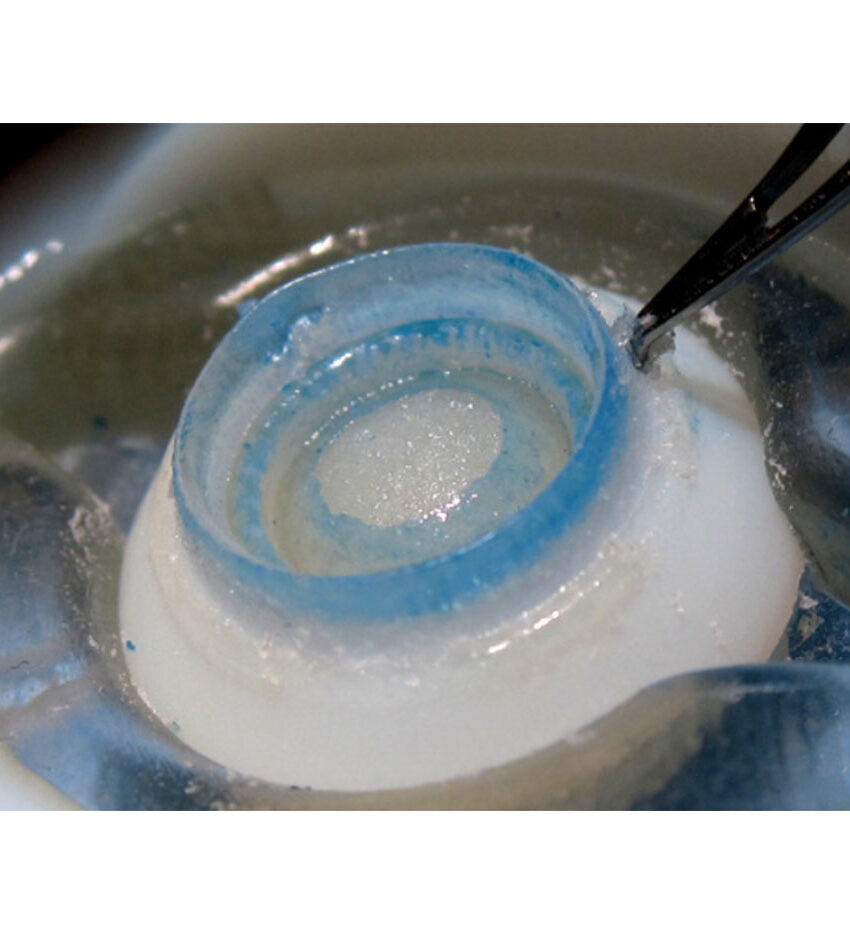 RHEXIS - Instrutor de Controle de Instrumento