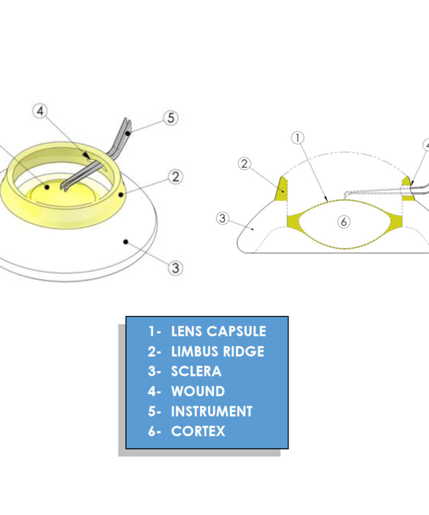 Alternative view of RHEXIS - Instrutor de Controle de Instrumento