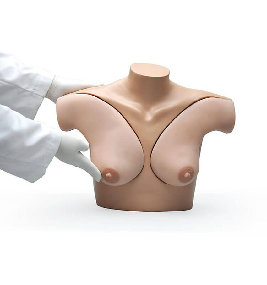 Gaumard® Breast Examination Simulator – Simulador de Exame das Mamas
