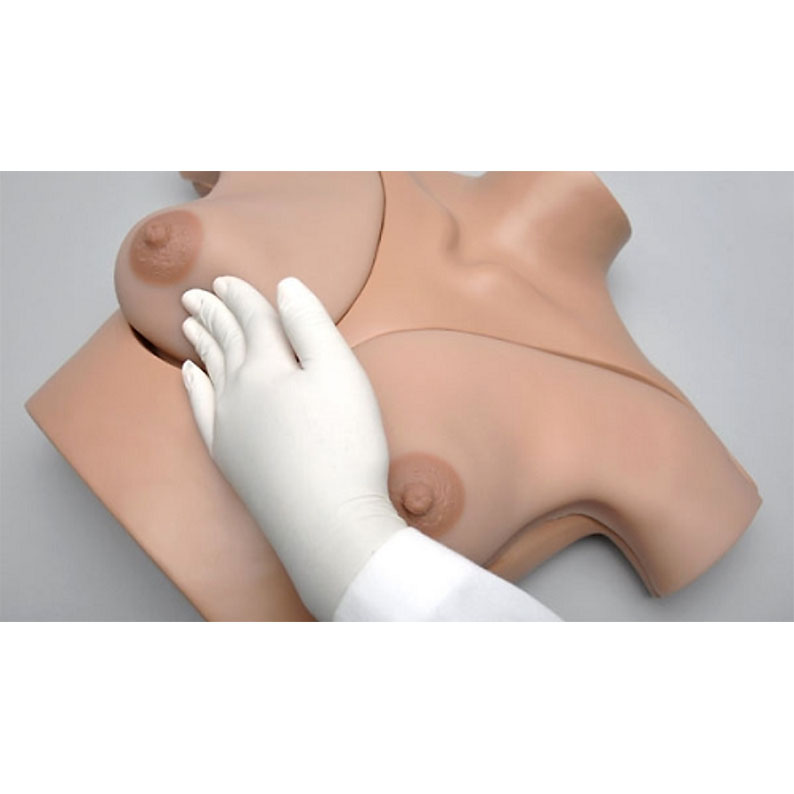 Gaumard® Breast Examination Simulator – Prática Brasil