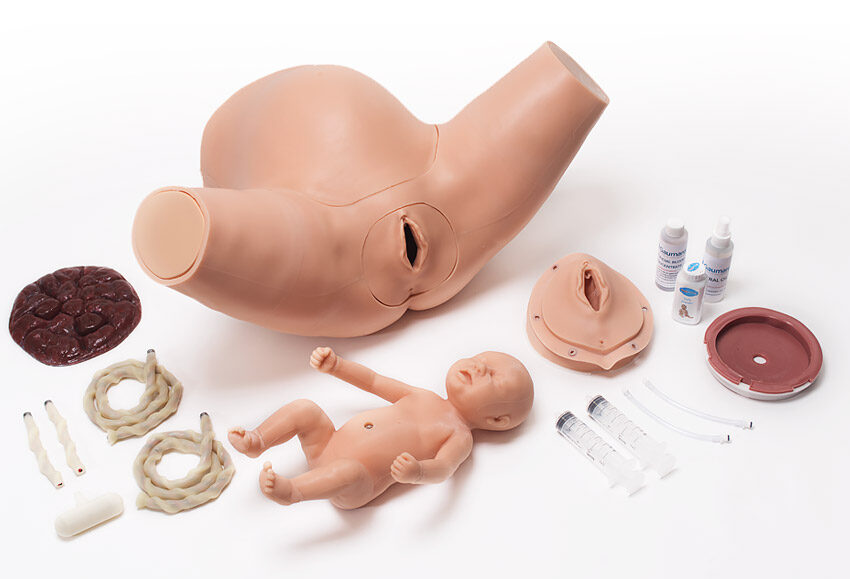 Alternative view of Gaumard® Total Childbirth Education Station - Light