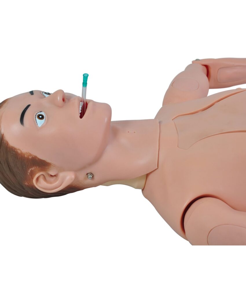 Alternative view of MANEQ BISSEXUAL ADULTO C/ ÓRGÃOS INTERNOS 1,70CM