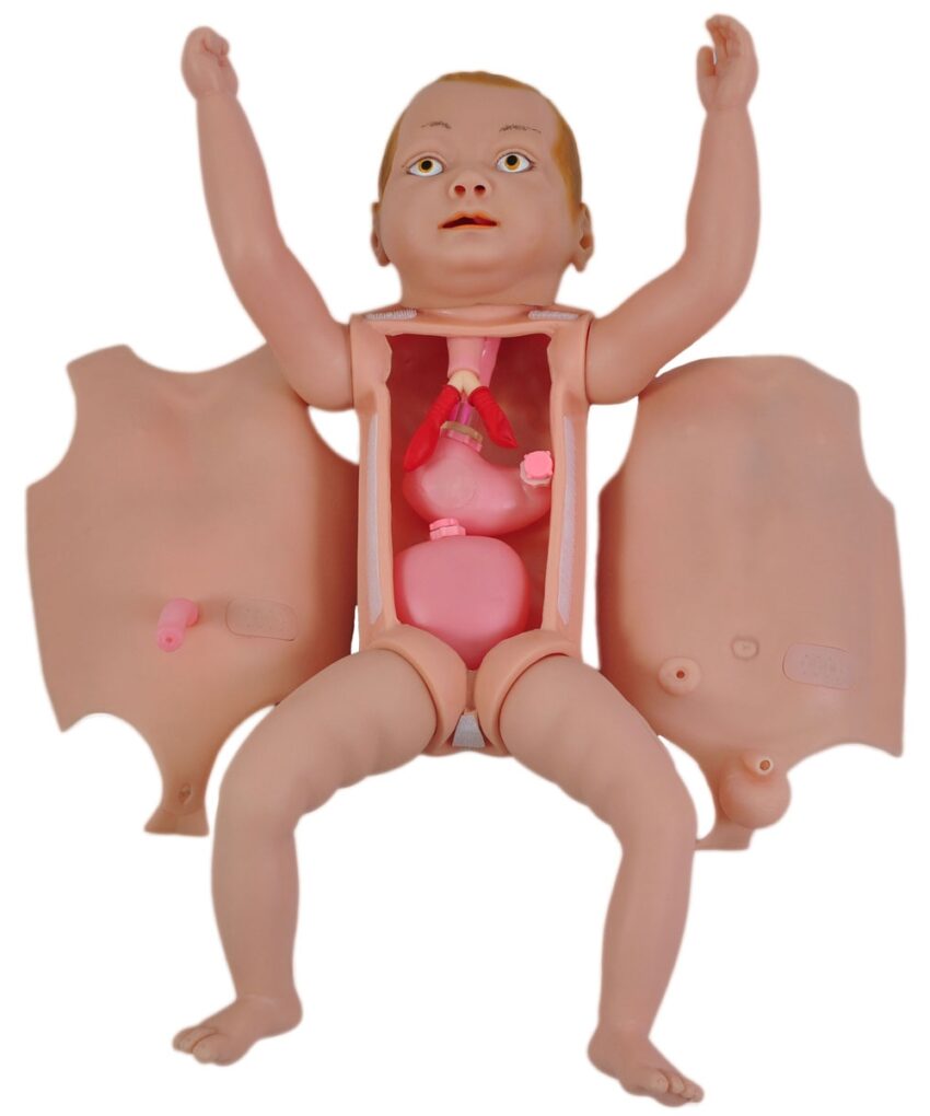 Manequim Bissexual Bebê C/ Órgãos Internos P/ Treino de Enfermagem