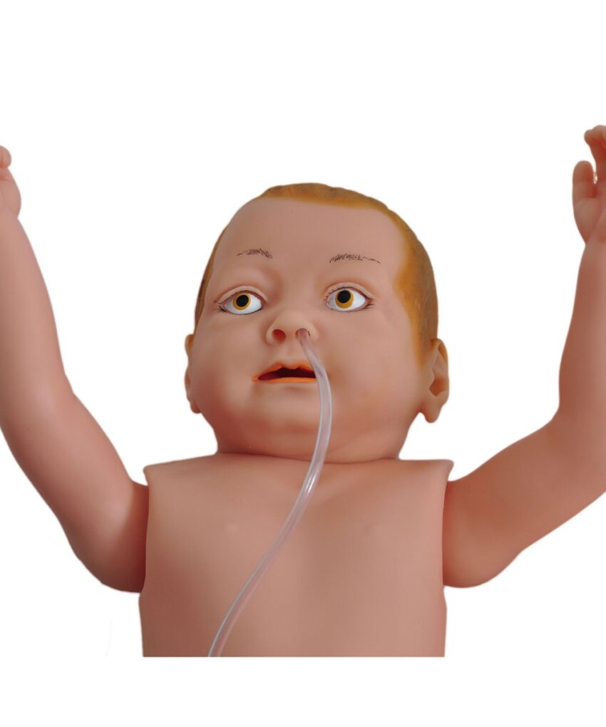 Alternative view of Manequim Bissexual Bebê C/ Órgãos Internos P/ Treino de Enfermagem