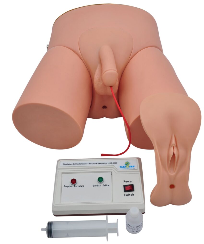 SIMULADOR DE CATETERIZACAO BISSEXUAL