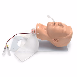 Simulador Médico Adulto Deluxe para Treinamento de Gerenciamento de Vias Aéreas, Intubação Orotraqueal e Ventilação Mecânica — Adult Deluxe Airway Management Trainer Nasco Healthcare SKU 101-502
