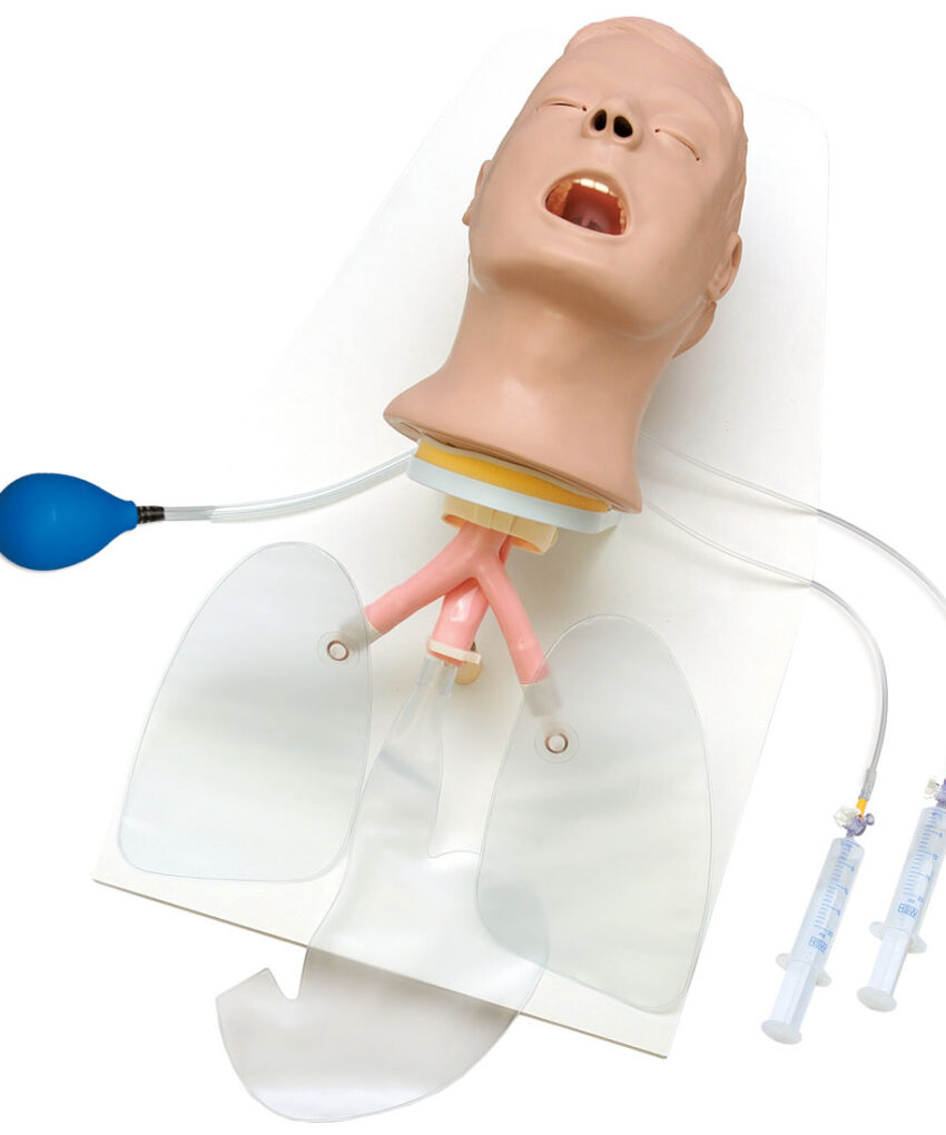 Advanced "Airway Larry" Trainer Head com suporte