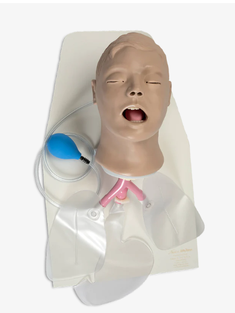 Simulador de Vias Aéreas Airway Larry Lifeform com suporte para treinamento de intubação e ventilação