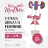 Sistema Urinário Feminino - Sdorf Scientific®