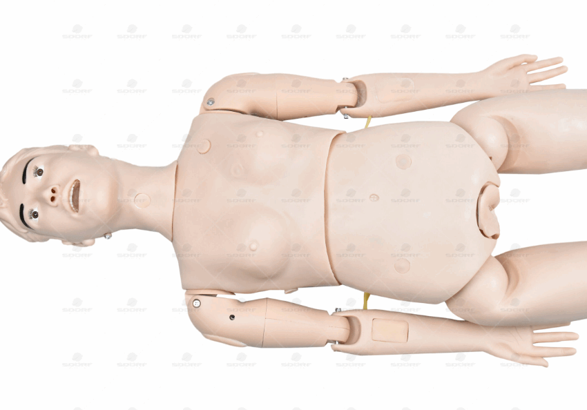 Alternative view of Manequim Adulto Básico Feminino P/ Cuidados em Enfermagem - Sdorf Scientific®
