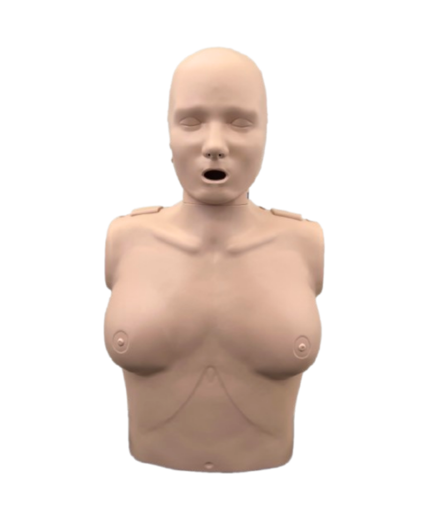 Alternative view of Professional Female Manikin