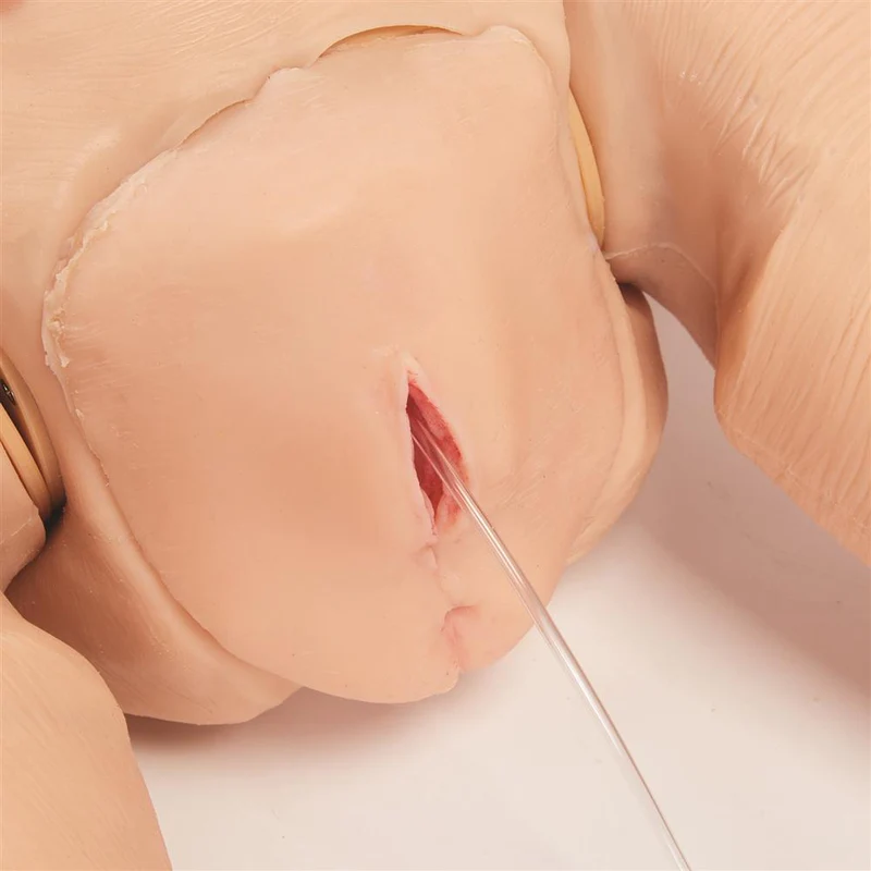 TERi™ Simulador de Habilidades para Pacientes Idosos - Imagem 9