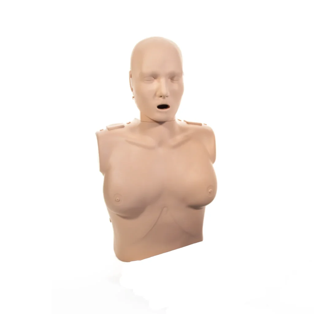 Professional Female Manikin