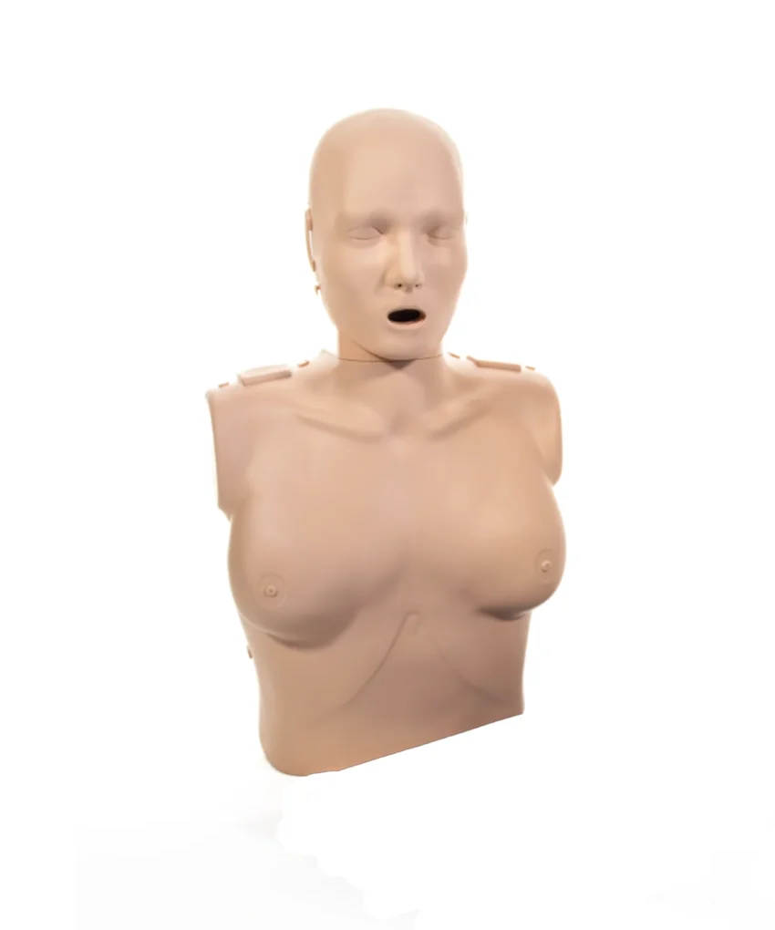 Professional Female Manikin