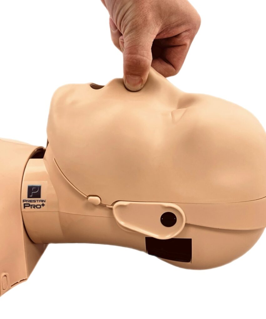 Alternative view of NEW PRO+ Adult Manikin - Manequim Adulto Avançado (pele média)