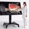 Mesa Anatômica 3D Interativa com tela touchscreen 4K para ensino de anatomia humana e simulação clínica