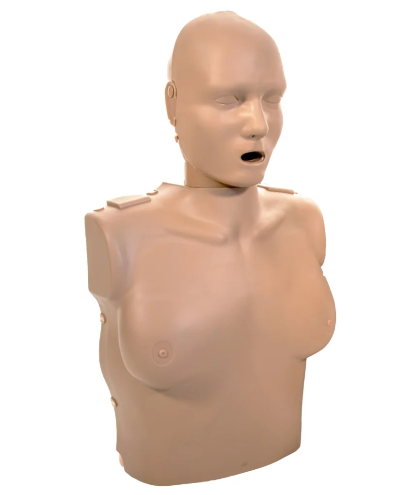 Alternative view of Professional Female Manikin Dark Skin
