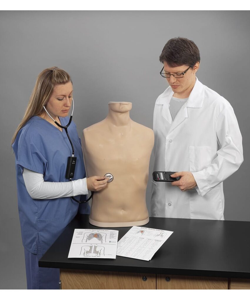 Alternative view of Simulador de de Auscultação