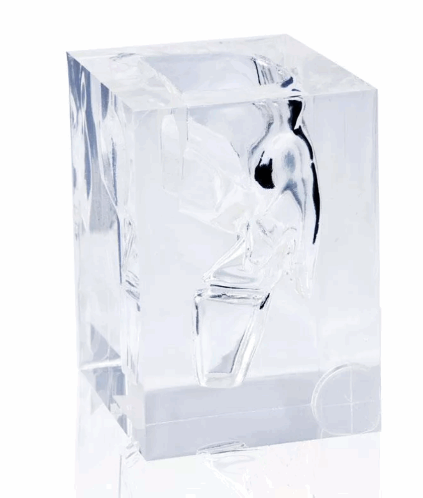 Modelo Anatômico Transparente de Laringofaringe