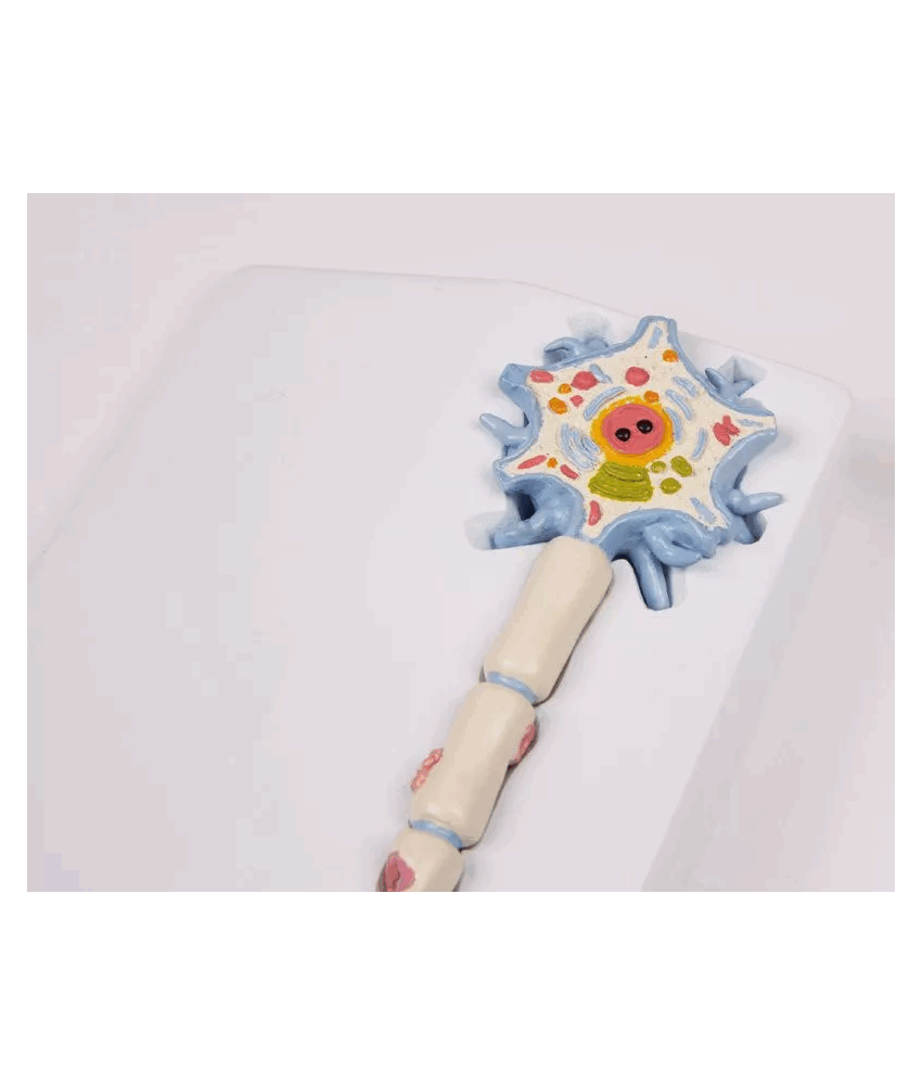 Alternative view of Modelo de Neurônio com Estágios da Esclerose Múltipla