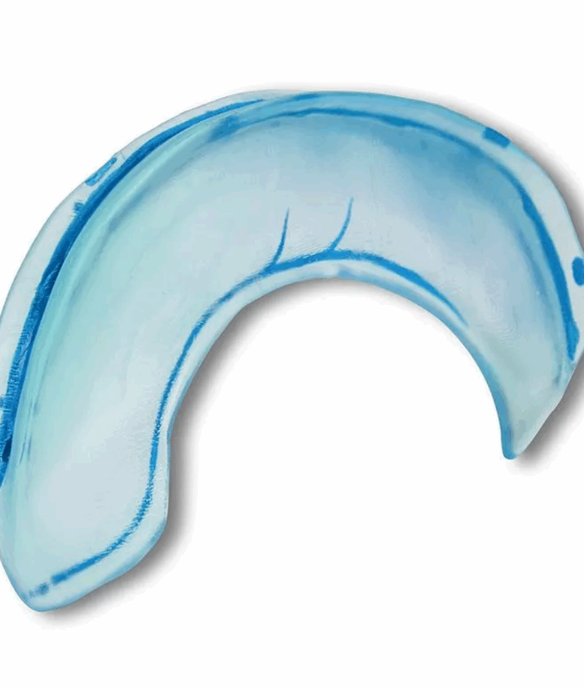 Modelo da Foice do Cérebro