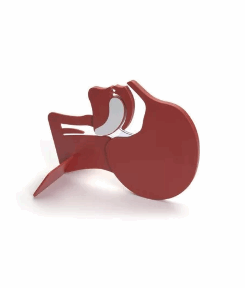 Modelo de Secção de Cabeça