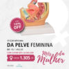 Modelo de Secção Mediana da Pelve Feminina – Tamanho Reduzido