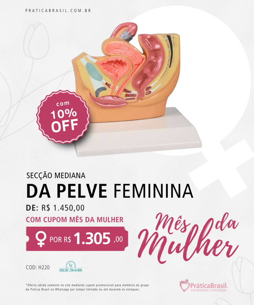 Modelo de Secção Mediana da Pelve Feminina – Tamanho Reduzido