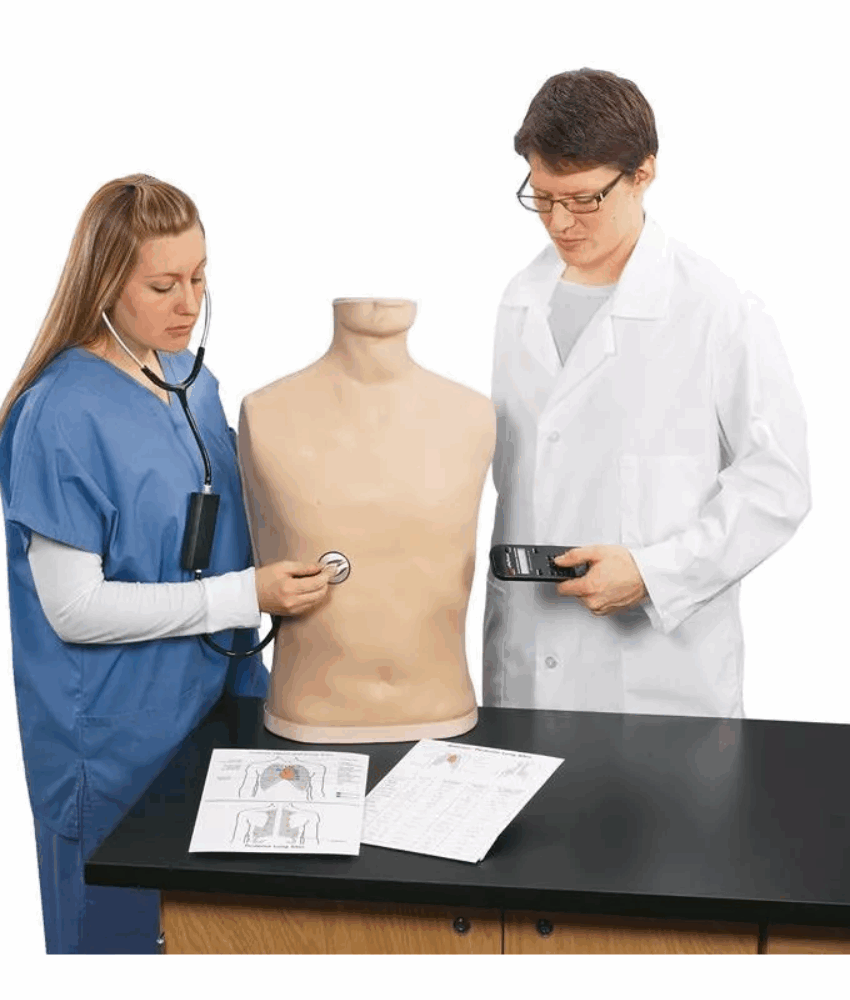 Modelo de Auscultação Torácica