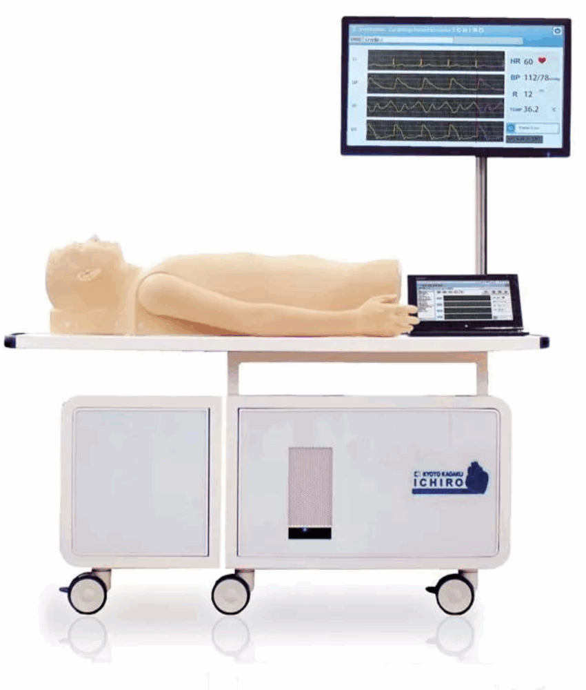 Simulador Cardíaco de Paciente “K” ver. 2